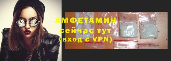 трава Белокуриха